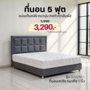 ที่นอนสปริง bodyfect