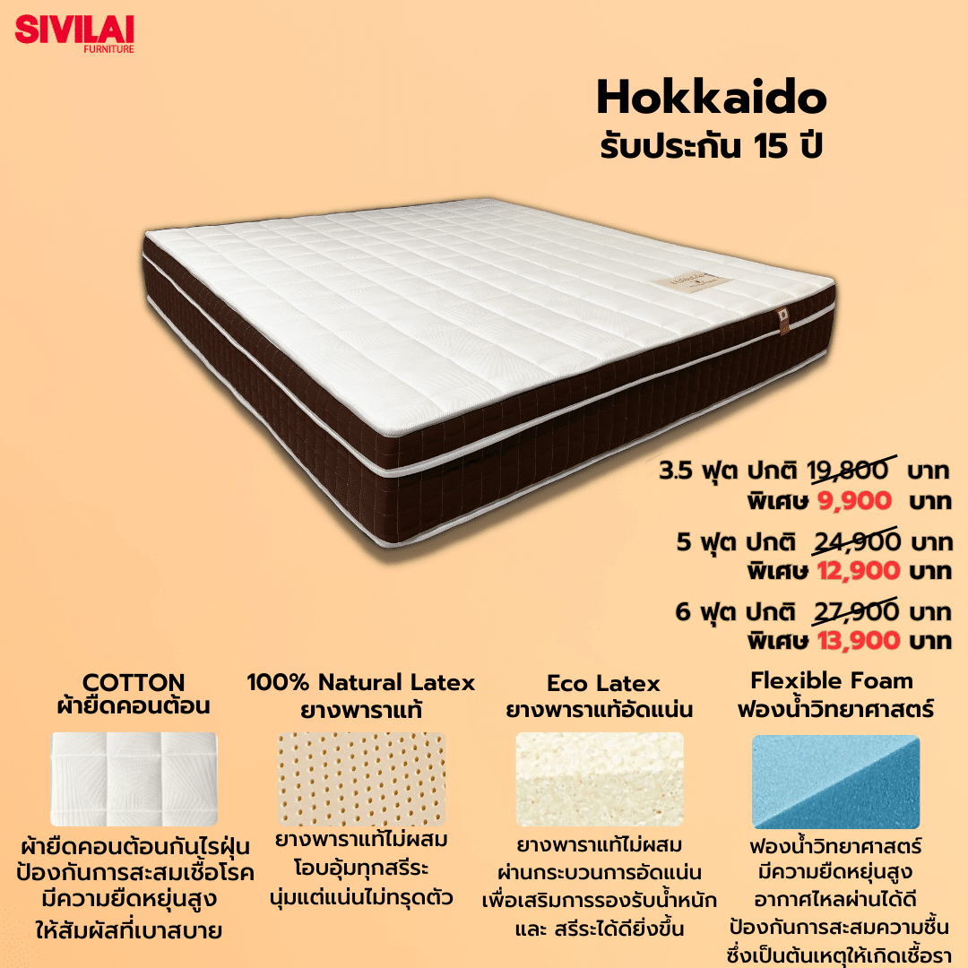 ที่นอน ที่นอนยางพารา hokkaido