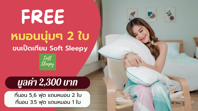 แถมหมอน softsleepy